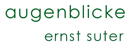 augenblicke - ernst suter